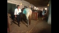 Sensual brunette banged in the horse stable
